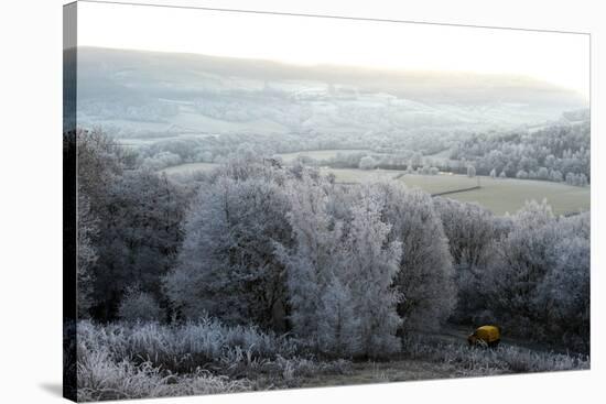 Frosty landscape, Powys, Wales, United Kingdom, Europe-Graham Lawrence-Stretched Canvas