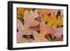 Frosty Leaves I-Kathy Mahan-Framed Photographic Print