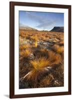 Frosty Moorland Landscape in Autumn, Cairngorms Np, Scotland, UK, October 2010-Mark Hamblin-Framed Photographic Print