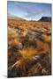 Frosty Moorland Landscape in Autumn, Cairngorms Np, Scotland, UK, October 2010-Mark Hamblin-Mounted Photographic Print