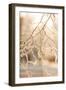 Frosty Morning 6-Mareike Böhmer-Framed Giclee Print