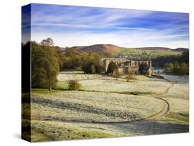 Frosty Morning at Bolton Priory Ruins (Bolton Abbey), Yorkshire Dales National Park, Yorkshire, Eng-Mark Sunderland-Stretched Canvas