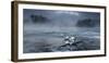 Frosty morning at the river-Tom Meier-Framed Photographic Print