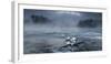 Frosty morning at the river-Tom Meier-Framed Photographic Print