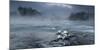 Frosty morning at the river-Tom Meier-Mounted Photographic Print