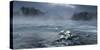 Frosty morning at the river-Tom Meier-Stretched Canvas