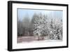 Frosty Morning-Mike Jones-Framed Giclee Print