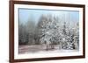 Frosty Morning-Mike Jones-Framed Art Print