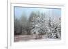 Frosty Morning-Mike Jones-Framed Art Print