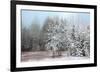 Frosty Morning-Mike Jones-Framed Art Print