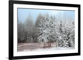 Frosty Morning-Mike Jones-Framed Art Print