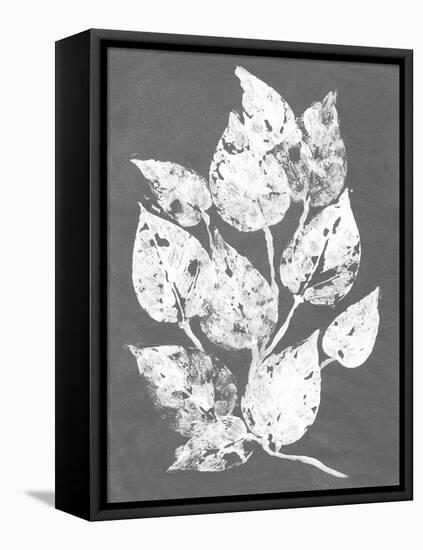 Frosty Philodendron I-Alicia Ludwig-Framed Stretched Canvas