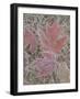 Frosty Red Leaves-null-Framed Photographic Print