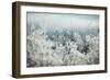 Frosty Sage Abstract I, Grand Teton, Wyoming-null-Framed Photographic Print