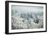 Frosty Sage Abstract I, Grand Teton, Wyoming-null-Framed Photographic Print