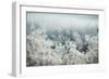 Frosty Sage Abstract I, Grand Teton, Wyoming-null-Framed Photographic Print