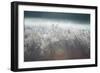 Frosty Sage Abstract II, Grand Teton, Wyoming-null-Framed Photographic Print