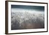 Frosty Sage Abstract II, Grand Teton, Wyoming-null-Framed Photographic Print