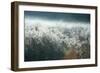 Frosty Sage Abstract III, Grand Teton, Wyoming-null-Framed Photographic Print