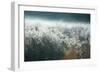 Frosty Sage Abstract III, Grand Teton, Wyoming-null-Framed Photographic Print