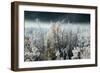 Frosty Sage Abstract IV, Grand Teton, Wyoming-null-Framed Photographic Print