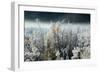 Frosty Sage Abstract IV, Grand Teton, Wyoming-null-Framed Photographic Print