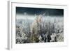 Frosty Sage Abstract IV, Grand Teton, Wyoming-null-Framed Photographic Print