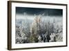 Frosty Sage Abstract IV, Grand Teton, Wyoming-null-Framed Photographic Print