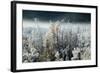 Frosty Sage Abstract IV, Grand Teton, Wyoming-null-Framed Photographic Print