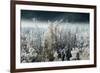 Frosty Sage Abstract IV, Grand Teton, Wyoming-null-Framed Photographic Print