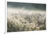 Frosty Sage Design, Grand Teton-Vincent James-Framed Photographic Print