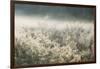 Frosty Sage Design, Grand Teton-Vincent James-Framed Photographic Print
