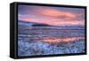 Frosty Sunset at Yellowstone River, Wyoming-Vincent James-Framed Stretched Canvas