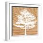 Frosty Tree-Erin Clark-Framed Art Print