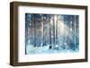 Frosty Winter Landscape in Snowy Forest-Kichigin-Framed Photographic Print