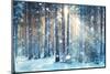 Frosty Winter Landscape in Snowy Forest-Kichigin-Mounted Photographic Print