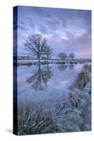 Frosty Winter Morning Beside a Rural Pond, Morchard Road, Devon, England. Winter (January)-Adam Burton-Stretched Canvas