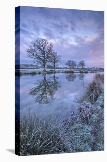 Frosty Winter Morning Beside a Rural Pond, Morchard Road, Devon, England. Winter (January)-Adam Burton-Stretched Canvas