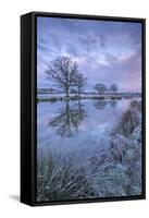 Frosty Winter Morning Beside a Rural Pond, Morchard Road, Devon, England. Winter (January)-Adam Burton-Framed Stretched Canvas