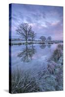 Frosty Winter Morning Beside a Rural Pond, Morchard Road, Devon, England. Winter (January)-Adam Burton-Stretched Canvas