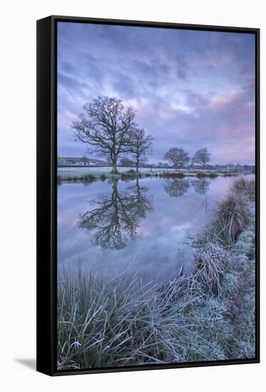 Frosty Winter Morning Beside a Rural Pond, Morchard Road, Devon, England. Winter (January)-Adam Burton-Framed Stretched Canvas