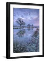 Frosty Winter Morning Beside a Rural Pond, Morchard Road, Devon, England. Winter (January)-Adam Burton-Framed Premium Photographic Print