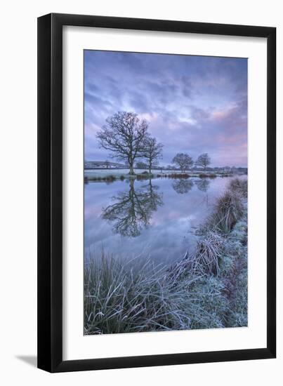 Frosty Winter Morning Beside a Rural Pond, Morchard Road, Devon, England. Winter (January)-Adam Burton-Framed Premium Photographic Print