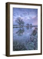 Frosty Winter Morning Beside a Rural Pond, Morchard Road, Devon, England. Winter (January)-Adam Burton-Framed Photographic Print