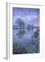 Frosty Winter Morning Beside a Rural Pond, Morchard Road, Devon, England. Winter (January)-Adam Burton-Framed Photographic Print