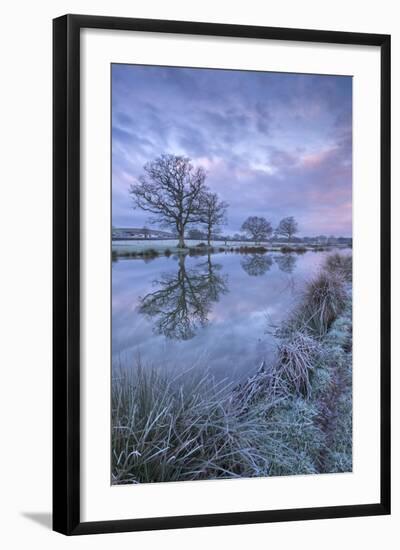 Frosty Winter Morning Beside a Rural Pond, Morchard Road, Devon, England. Winter (January)-Adam Burton-Framed Photographic Print