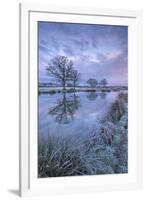 Frosty Winter Morning Beside a Rural Pond, Morchard Road, Devon, England. Winter (January)-Adam Burton-Framed Photographic Print