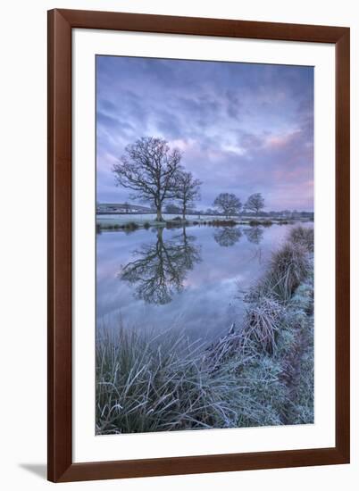 Frosty Winter Morning Beside a Rural Pond, Morchard Road, Devon, England. Winter (January)-Adam Burton-Framed Photographic Print