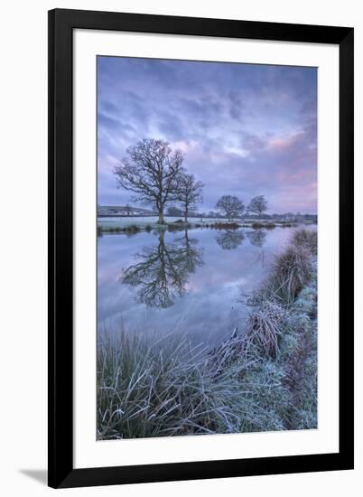 Frosty Winter Morning Beside a Rural Pond, Morchard Road, Devon, England. Winter (January)-Adam Burton-Framed Photographic Print