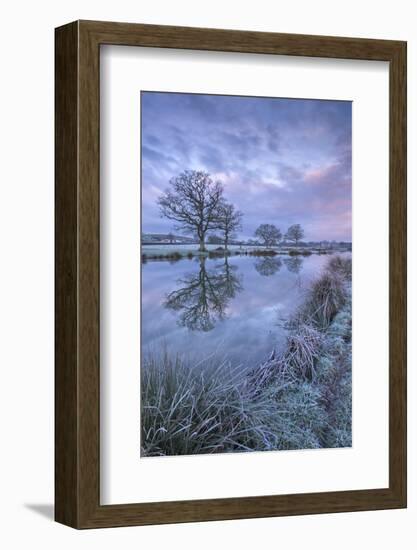 Frosty Winter Morning Beside a Rural Pond, Morchard Road, Devon, England. Winter (January)-Adam Burton-Framed Photographic Print